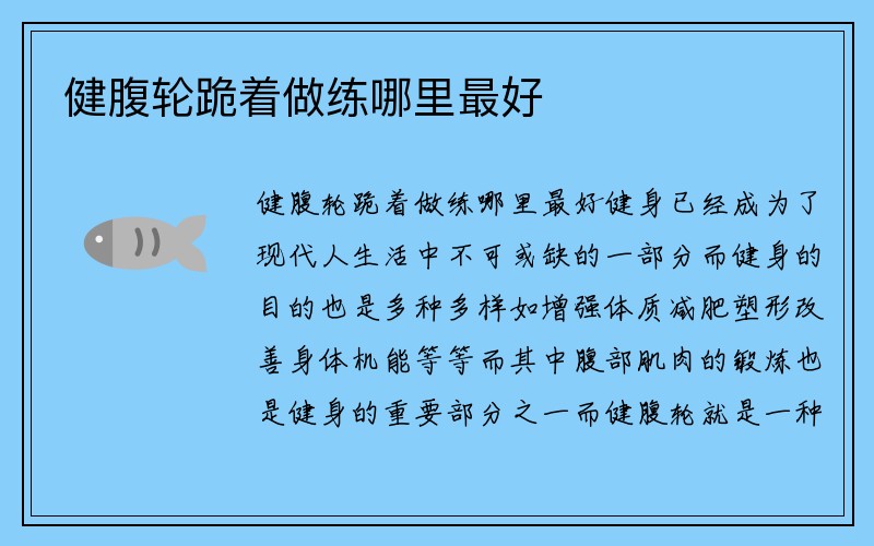 健腹轮跪着做练哪里最好