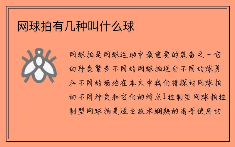 网球拍有几种叫什么球