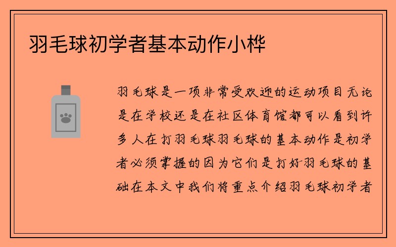 羽毛球初学者基本动作小桦